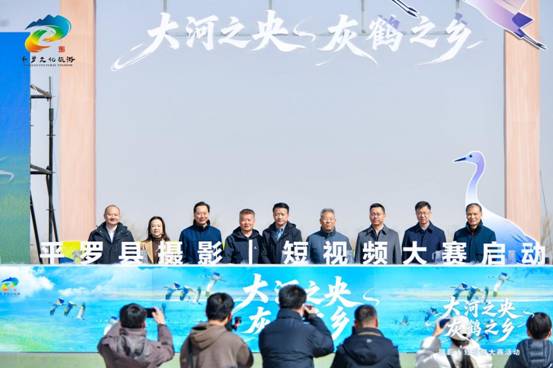 定格生态之美 讲好平罗故事 “大河之央・灰鹤之乡” 平罗摄影大赛正式启动