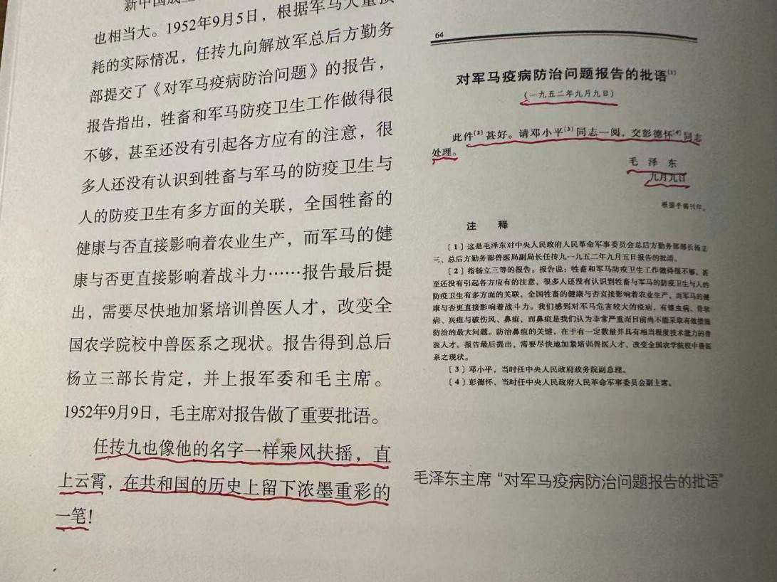 他是一只大鹏鸟，同时又是银河系中一颗闪亮的恒星