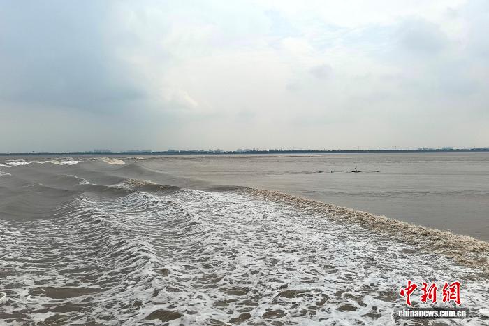 浙江海宁：直击钱塘江“鬼王潮”